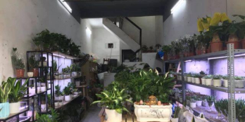 Bán nhà cạnh  ROYAL CITY đường ô tô tránh, vỉa hè kinh doanh, chỉ 4.9 tỷ.