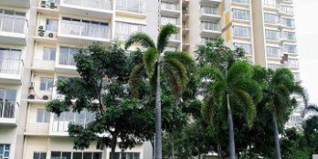 MUA BÁN CĂN HỘ BÌNH DƯƠNG - THE CANARY HEIGHTS