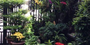 Nắm chính chủ cần bán căn nhà phường an phú, thị xã thuận an, bình dương