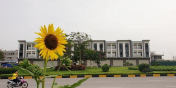 Sở hữu Belhomes Vsip chỉ 2 tỷ rẻ hơn 150tr