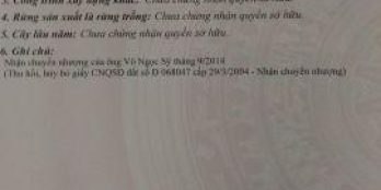 BÁN ĐẤT LÀM MINI-HOTEL , XÃ BÔNG TRANG, XUYÊN MỘC, BRVT