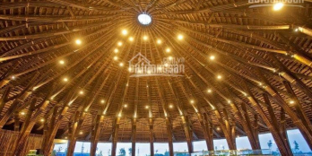 Cần tiền bán gấp lô đất Làng Sen, 800tr/nền, 80m2, SHR, CC sang tên ngay