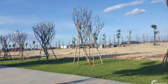 BÁN ĐẤT NỀN BIỂN DỰ ÁN QUY NHƠN - GIÁ 1.4 TỶ/LÔ - LIÊN HỆ: 0896655833