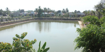 CƠ HỘI SỞ HỮU NGAY QUÁN CÀ PHÊ ĐẸP VỚI HƯỚNG NHÌN HỒ CÁ DIỆN TÍCH LỚN.