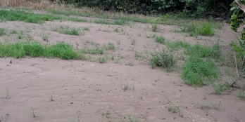 bán nhà hưng long,chính chủ,sổ hồng riêng,đường hương lộ 11