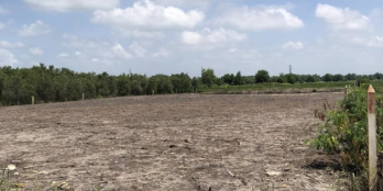 Bán đất xưởng đường Nguyễn Kim Cương xã Tân Thạnh Đông Củ Chi