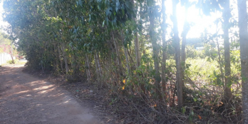 Tôi cần bán gấp 2.2 mẫu đất Long Phước, Long Thành cách ql 51 chỉ 2km giá 32 tỷ.