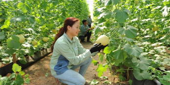 Sở hữu Trang Trại Và Nghĩ Dưỡng FARMSATY G7 tại Hồ Tràm_Vũng Tàu Với giá cực kì