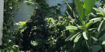 Nhà đẹp 2 mặt tiền Trần Quý Cáp, quận Bình Thạnh