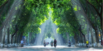 Chính chủ cần bán nhà 48m2–đường Quán Thánh, Ba đình