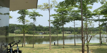 Bán đất nền, Khu Biệt thự Hồ Đại Lải. Sổ hồng riêng từng lô