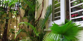 Bán gấp biệt thự mini góc 2 mặt tại 147 Lê Đình Thám, P. Tân Quý,Tân Phú