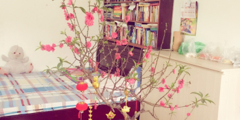 Bán nhà chính chủ tại xã Tam Hiệp, Thanh Trì, Hà Nội. Giá 1.85 tỷ