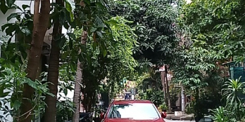 Cần bán gấp nhà Quận Gò Vấp, giá rẻ, khu trung tâm.