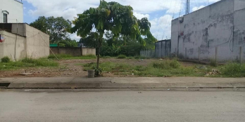 CẦN BÁN GẤP LÔ ĐẤT THỔ CƯ CHÍNH CHỦ Ở SAU LƯNG CHỢ BÌNH CHÁNH