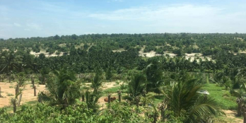 CÒN 5 SÀO ĐẤT KẾ SÂN BAY, 550TR/SÀO, ĐÃ CÓ SỔ, CÔNG CHỨNG NGAY,