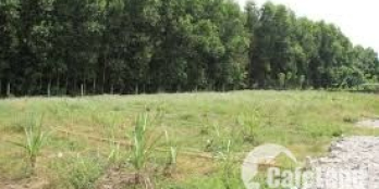 Chia tài sản bán  nhanh 1 miếng đất cây lâu năm, diện tích 500m2, gần Cát Lái