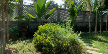 Cần bán Ngôi nhà vườn đẹp như phim trường hàn quốc , MT An Hạ - Bình Chánh