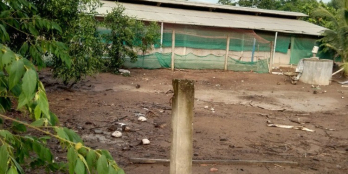 Bán đất chỉnh chủ tại Ấp Bình Thạnh, Xã Bình Tịnh, Huyện Tân Trụ, Long An