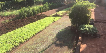 Bán 7,2 sào đất ngay Thị Trấn Phước Bửu huyện Xuyên Mộc,Quốc Lộ 55 đi vào 200m