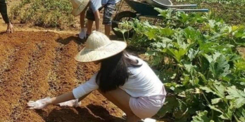 siêu dự án Farmstay G7 Bình Châu