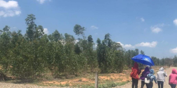 Đất kế bên suối nước nóng Bình Châu, có sổ sẵn, công chứng ngay.