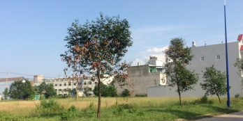 Cần tiền xây nhà cần bán 300m2 đất thổ cư ngay chợ dân sinh đang hoạt động