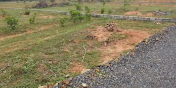 Chính chủ bán cắt lỗ lô đất 1000m2 đã có sổ Thiện Nghiệp-Phan Thiết giá 1,6tr/m2