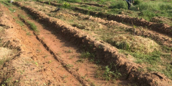 Chỉ 50000/m2 sở hữu ngay khu đất giàu tiềm năng phát triển nhất Bình Thuận