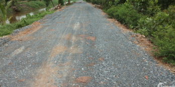 Đất Thổ Vườn Bình Chánh, Phù hợp Xây Kho Xưởng, Nhà Vườn