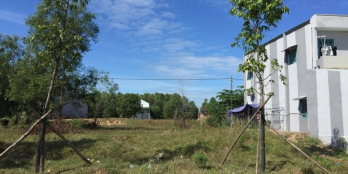 Tuổi cao không tiện trông coi tôi bán hết 4 nền đất 600m2 100% thổ cư gần QL13