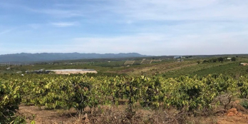 BÁN ĐẤT BẢO LỘC CẠNH THÁC DAMB'RI LH: 0962975971