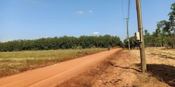 Bán đất giá rẻ tại Dầu Tiếng – Bình Dương