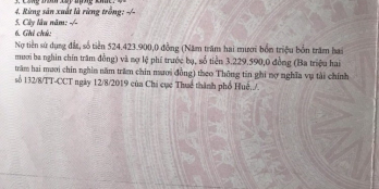 CHỦ CẦN BÁN GẤP ĐẤT THỦY XUÂN VỊ TRÍ ĐẸP