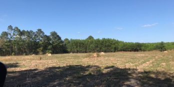 Tôi cần bán 1 mẫu đất vuông vức 92x105m Tân Hiệp, Long Thành giá 18 tỷ.