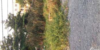 Đất Quận Bình Tân 80m2 Đường Lâm Hoành