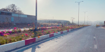 ĐẤT SỔ HỒNG KHU CÔNG NGHIỆP GIANG ĐIỀN