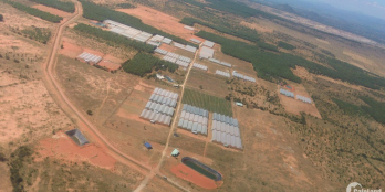 Đất nền trang trại tại Bình Thuận giá chỉ bằng ly cà phê