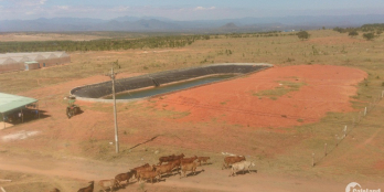 Bán đất lấy tiền mua xe, 50.000/m2 đất nguyên trạng có sổ hồng