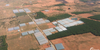 Bán đất vườn giá rẻ chỉ 50 triệu 1000 mét vuông.