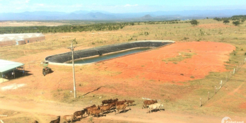 Giá Từ 50K-70K/m2, Sở Hữu Lô Đất Trong Khu Farm Công Nghệ Cao, Cực Phát Triển