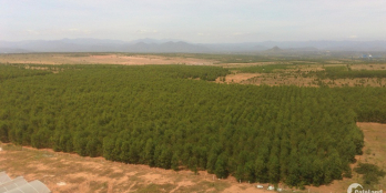 Mua đất đầu tư 50k/m2 chỉ sinh lời không lo mất giá