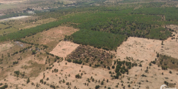 Đất giá rẻ, đầu tư sinh lời cao không lo pháp lý