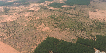 Mua đất đầu tư sinh lợi nhuận cao, pháp lí rõ ràng