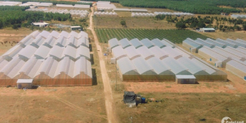 Giá 50.000VNĐ cho mỗi m2 đất chỉ có tại Bình Thuận !!!