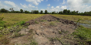 Cần tiền trả nợ bán 2500 m2 đất trồng cây lâu năm tại xã Bình Đức Bến Lức Long A