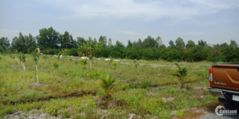 Chú Bảy cần bán 492m2 đất vườn Bến Lức giá 650 triệu