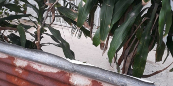 Bán lô đất 94 m2, hiệp bình chánh, shr