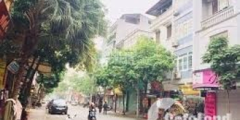 Cho thuê nhà mặt phố Nguyễn Phong Sắc cực đẹp DT 120m2, MT 6m