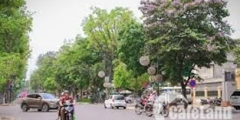 Cho thuê nhà mặt phố Trần Quốc Hoàn DT 50m2, vị trí hái ra tiền